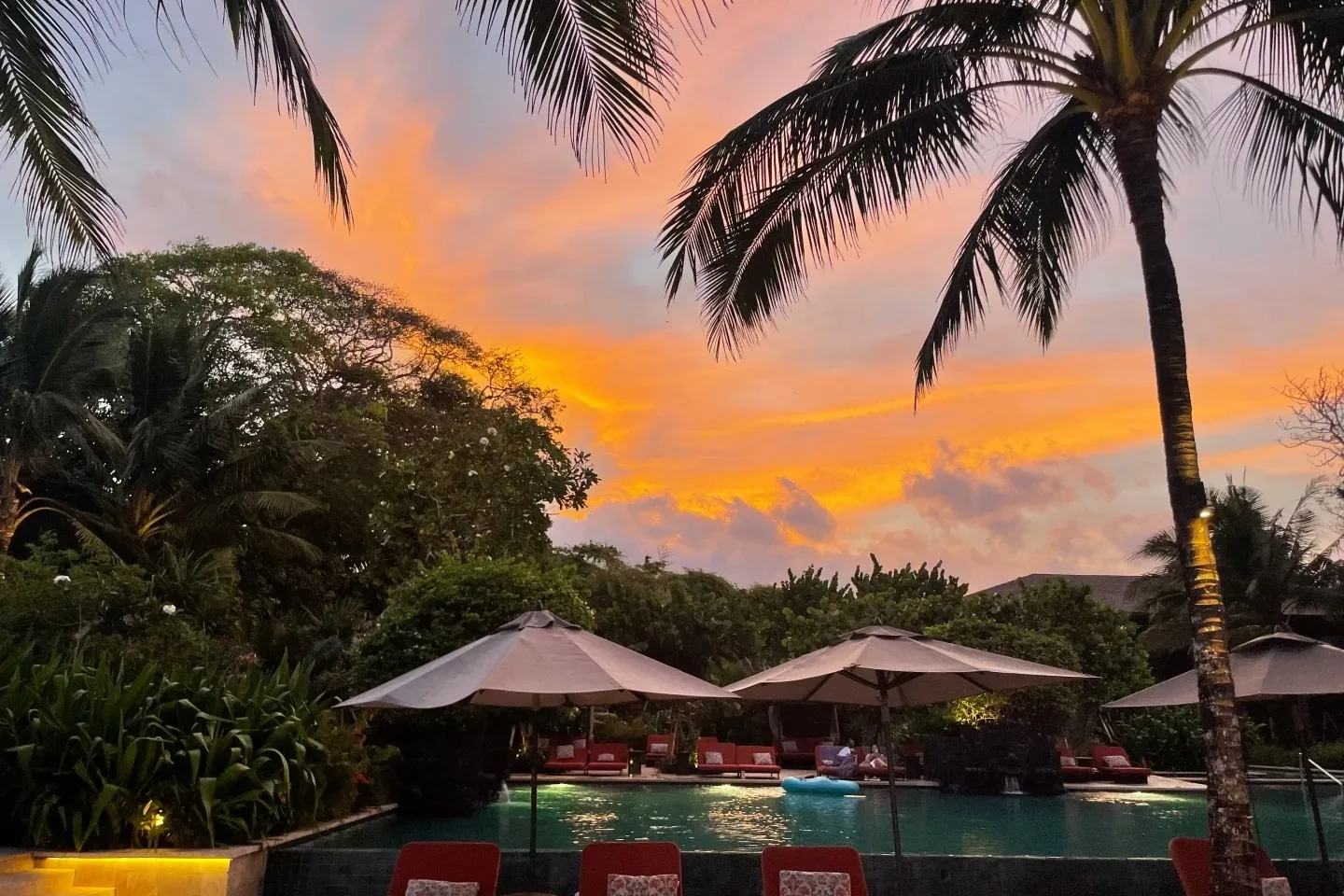 The beach club pool and red loungers under palms at sunset