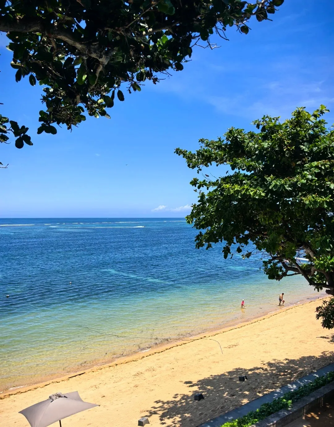 Looking down through the trees onto the beach and clear, shallow water