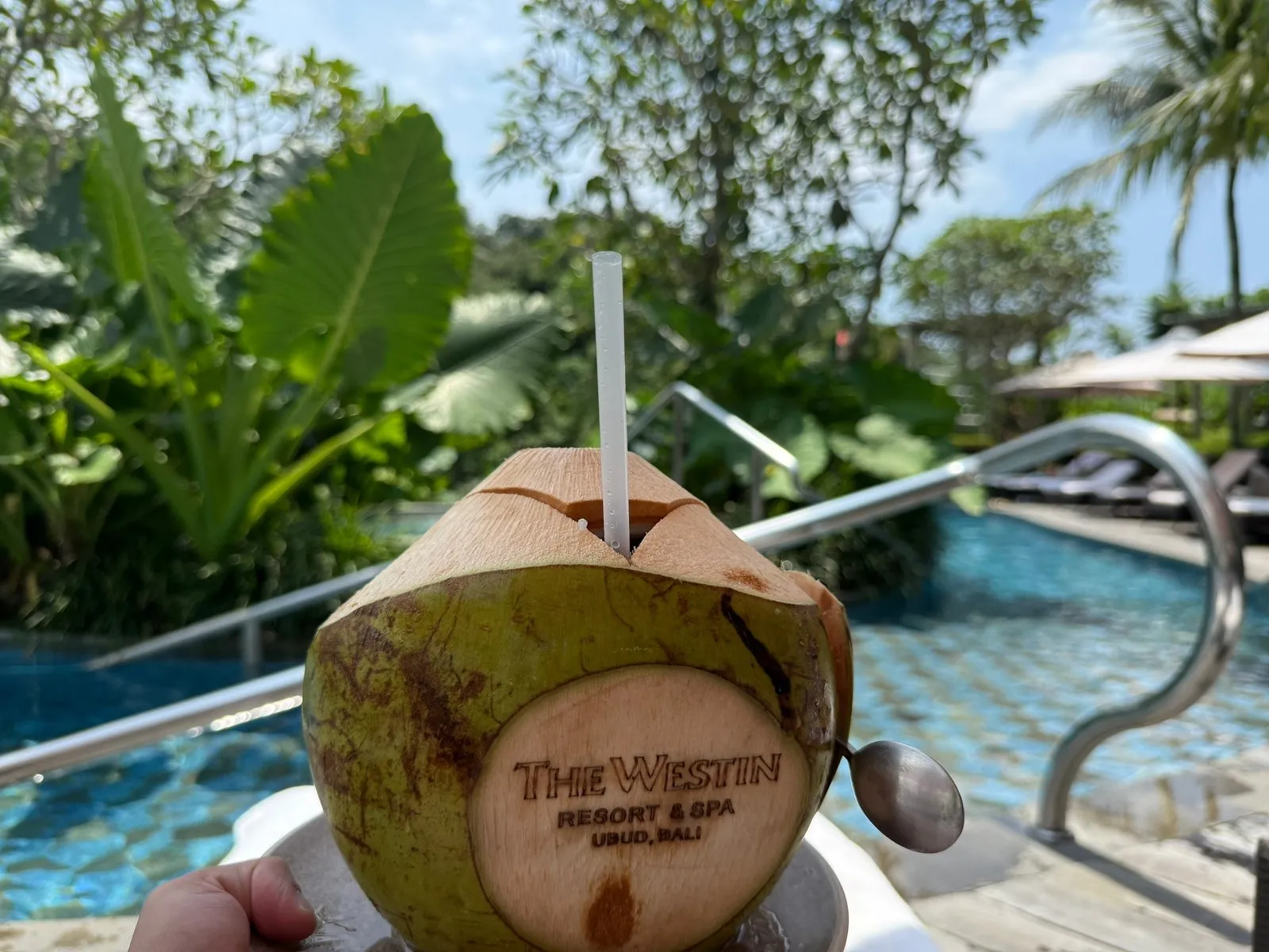 A fresh coconut stamped with The Westin logo, held up beside the pool