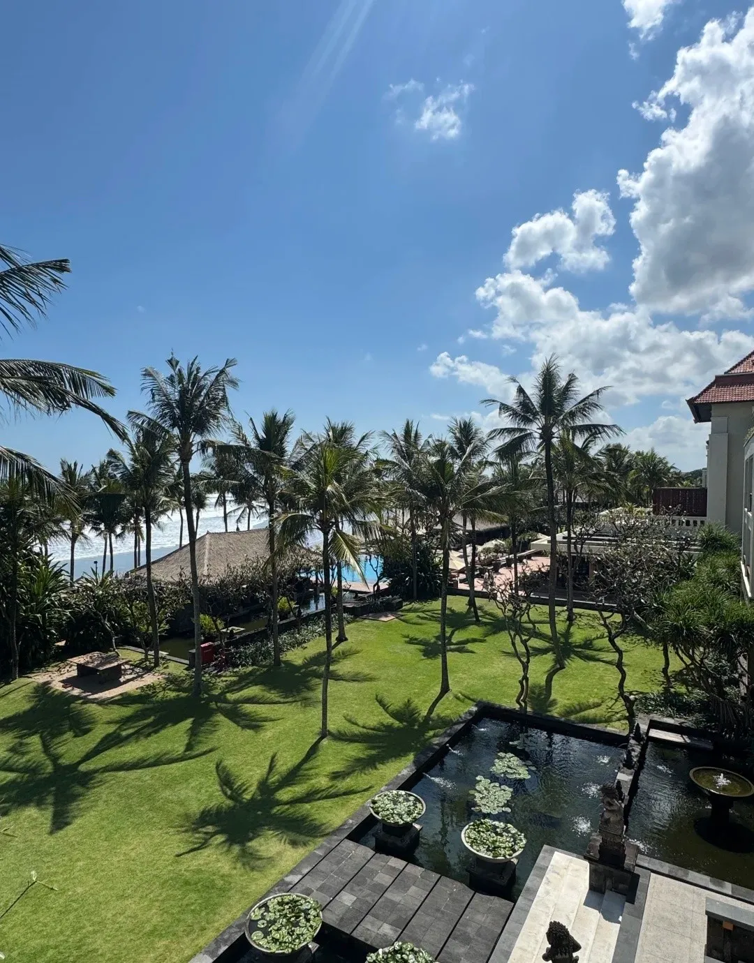 The lawn and lily ponds running down through the palms to the sea