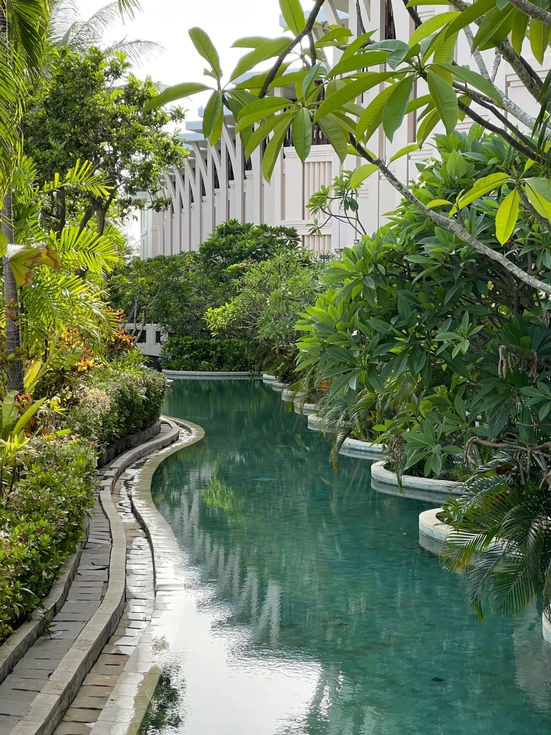 A narrow lagoon pool winding through tropical planting below a guest wing