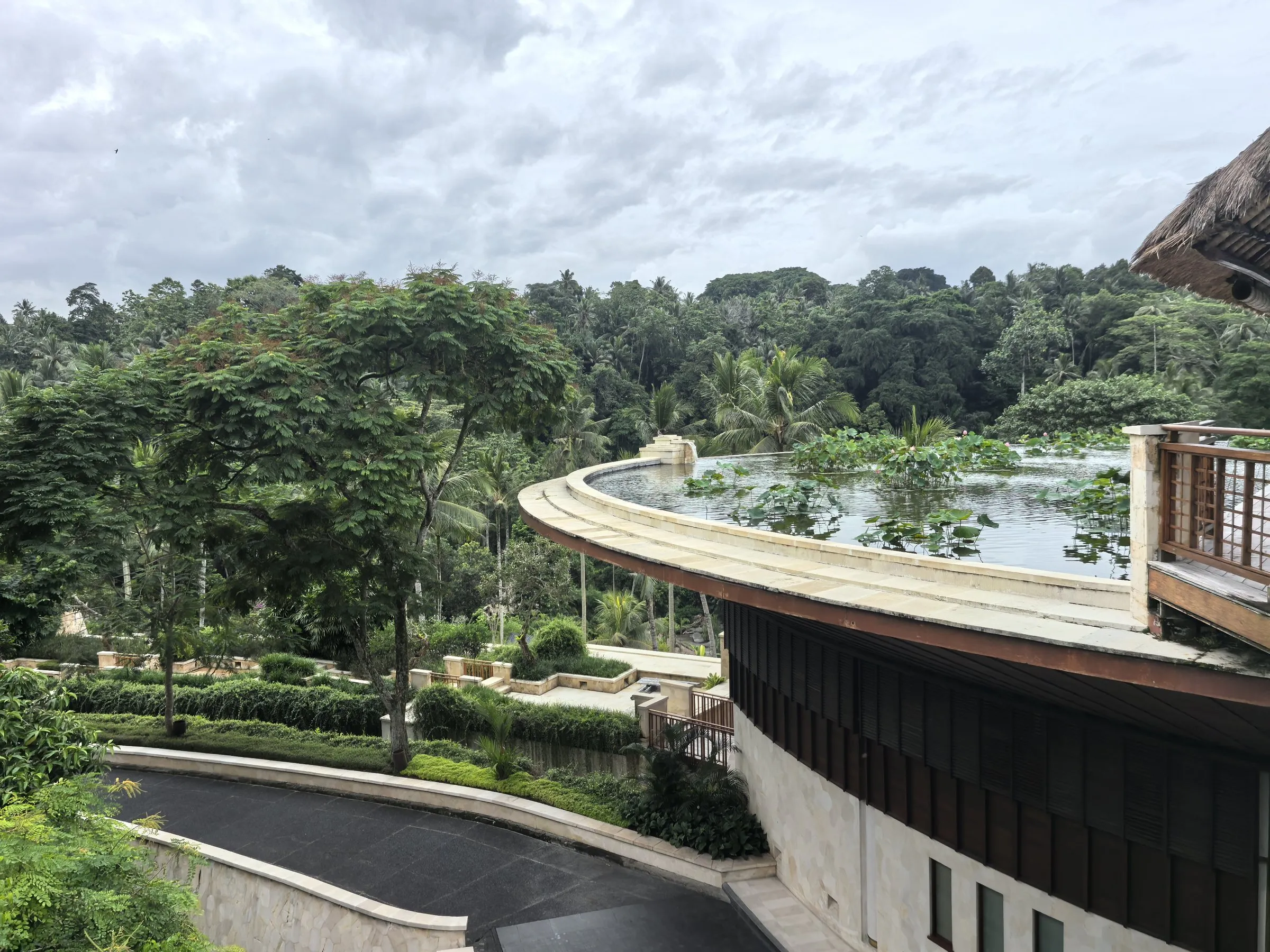 The curved lotus-pond roof over the main building, with the drive winding below into the jungle